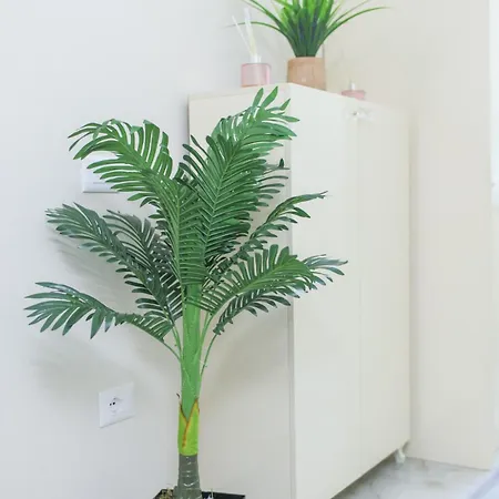 Ingrit Gjoni Apartment *