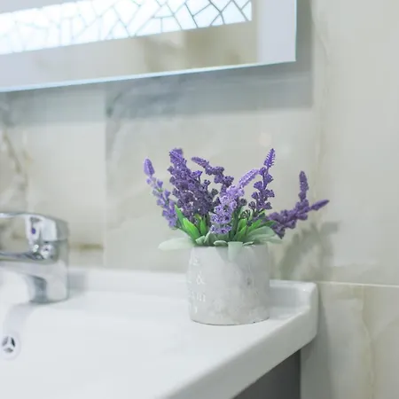 Apartment Ingrit Gjoni *