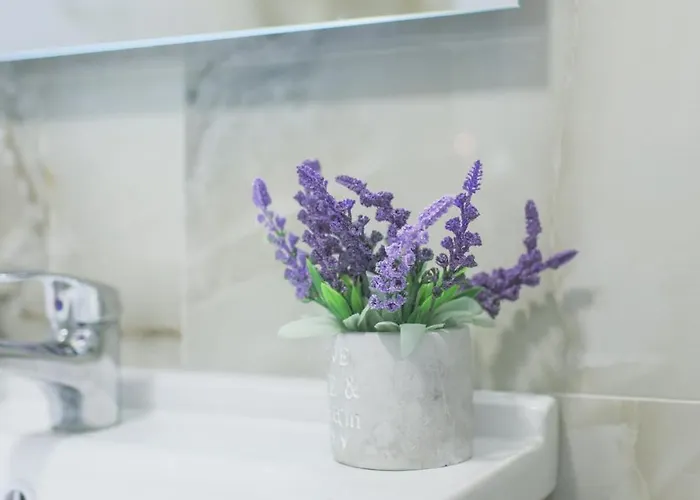 公寓 Ingrit Gjoni *